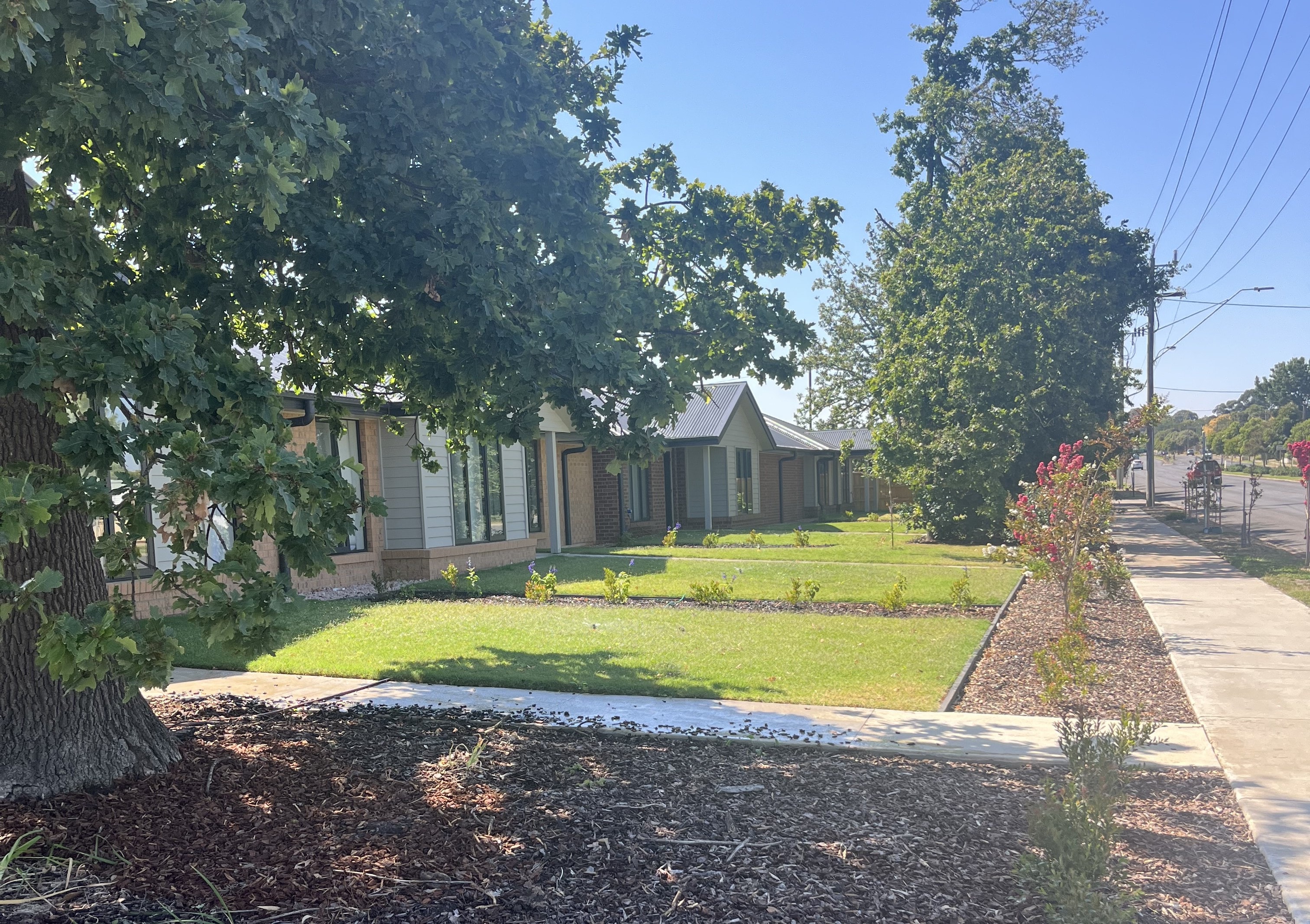 Hamilton social housing — brick and weatherboard homes with mature trees